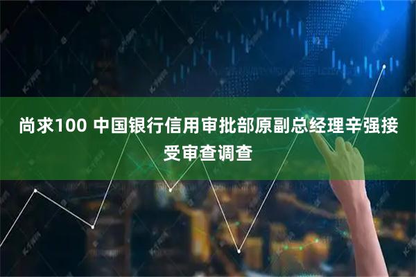 尚求100 中国银行信用审批部原副总经理辛强接受审查调查