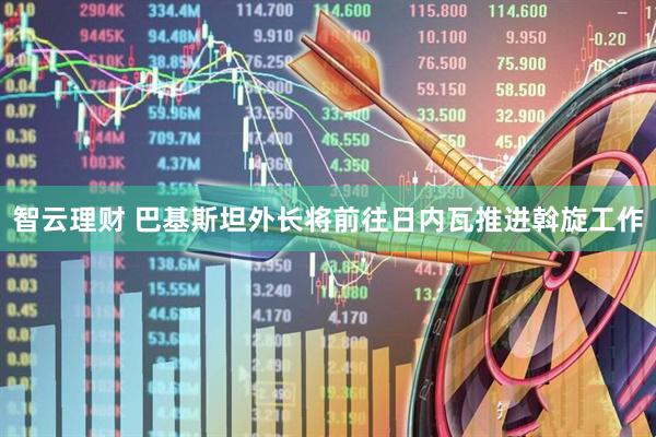 智云理财 巴基斯坦外长将前往日内瓦推进斡旋工作